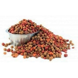 Cibo secco per cani