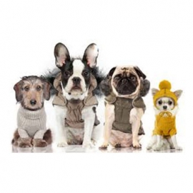 Abbigliamento per cani