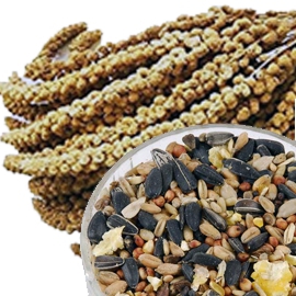 Cibo per uccelli