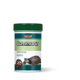 Padovan GAMMARUS