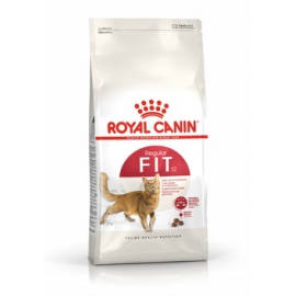 Royal Canin Fit 32 secco